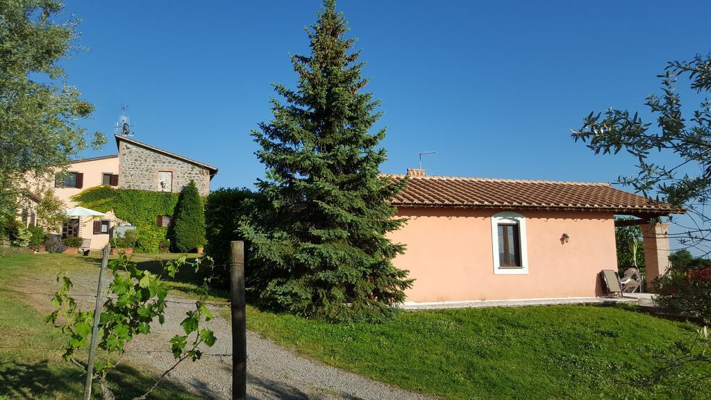 Appartement Casale Citerno à Bolsena Extérieur photo